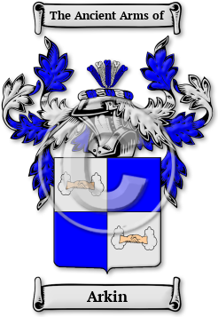 Arkin Family Crest Download (jpg) Legacy Series - 150 DPI