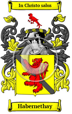 Habernethay Family Crest/Coat of Arms