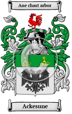Ackesune Family Crest/Coat of Arms