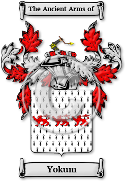 Yokum Family Crest Download (jpg) Legacy Series - 150 DPI