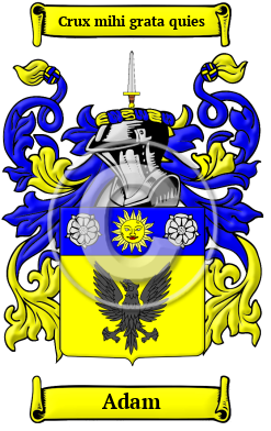 Adam Name Meaning, Family History, Family Crest & Coats of Arms, German