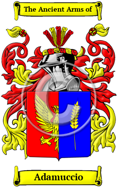 Adamuccio Family Crest/Coat of Arms