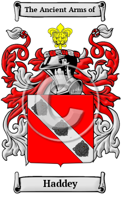 Haddey Family Crest/Coat of Arms