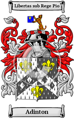 Adinton Family Crest/Coat of Arms