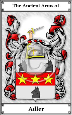 Adler Family Crest Download (JPG)  Book Plated - 150 DPI