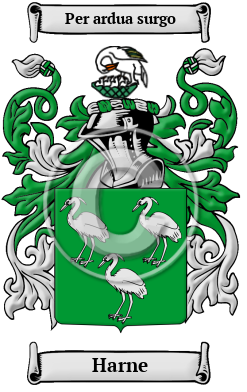 Harne Family Crest/Coat of Arms