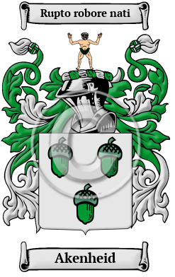 Akenheid Family Crest/Coat of Arms