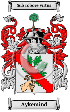 Aykemind Family Crest/Coat of Arms