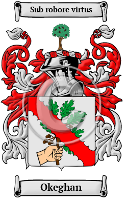 Okeghan Family Crest/Coat of Arms