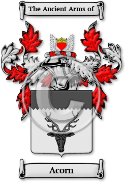 Acorn Family Crest Download (jpg) Legacy Series - 150 DPI