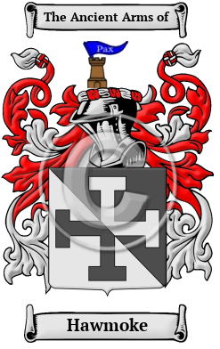 Hawmoke Family Crest/Coat of Arms