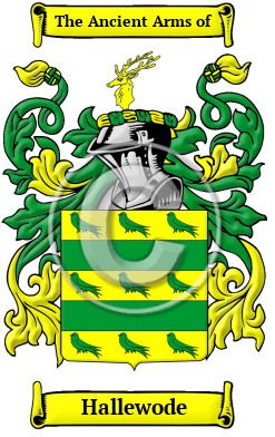Hallewode Family Crest/Coat of Arms