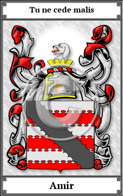 Amir Family Crest Download (JPG)  Book Plated - 150 DPI