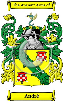 André Family Crest/Coat of Arms