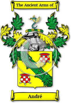 André Family Crest Download (jpg) Legacy Series - 150 DPI