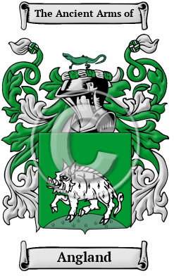 Angland Family Crest/Coat of Arms