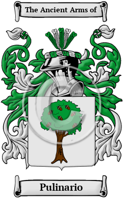 Pulinario Family Crest/Coat of Arms