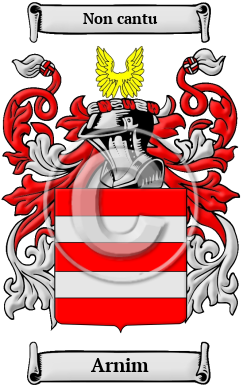 Arnim Family Crest/Coat of Arms