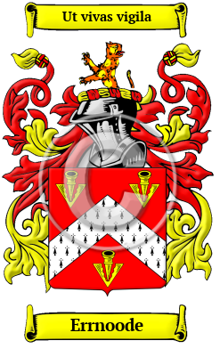 Errnoode Family Crest/Coat of Arms
