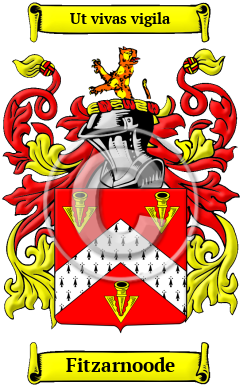 Fitzarnoode Family Crest/Coat of Arms