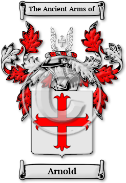 Arnold Family Crest Download (JPG) Legacy Series - 600 DPI