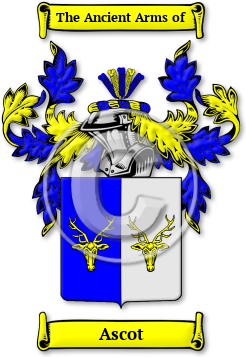 Ascot Family Crest Download (jpg) Legacy Series - 150 DPI