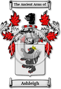 Ashleigh Family Crest Download (jpg) Legacy Series - 150 DPI
