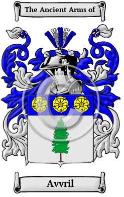 Avvril Family Crest/Coat of Arms