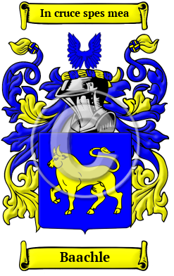 Baachle Family Crest/Coat of Arms