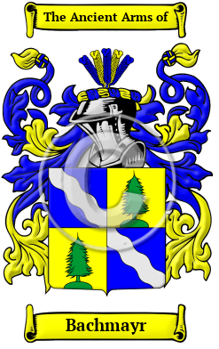 Bachmayr Family Crest/Coat of Arms