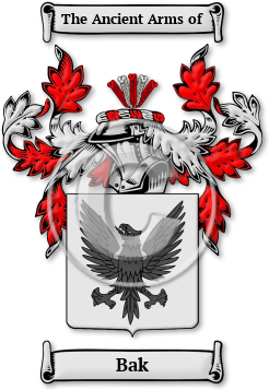 Bak Family Crest Download (JPG) Legacy Series - 600 DPI