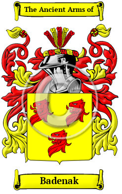 Badenak Family Crest/Coat of Arms