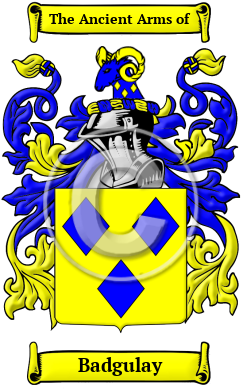 Badgulay Family Crest/Coat of Arms