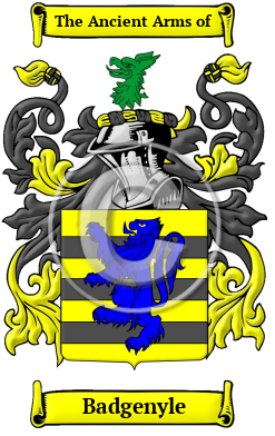 Badgenyle Family Crest/Coat of Arms