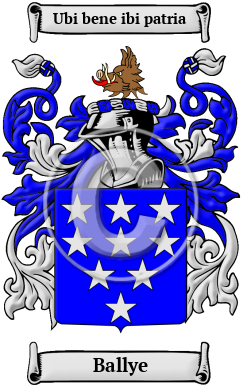 Ballye Family Crest/Coat of Arms