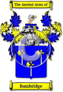 Bambridge Family Crest Download (jpg) Legacy Series - 150 DPI