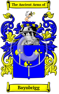 Baynbrigg Family Crest/Coat of Arms