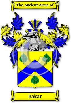 Bakar Family Crest Download (jpg) Legacy Series - 150 DPI