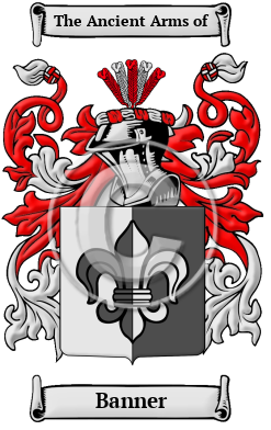 Banner Family Crest/Coat of Arms