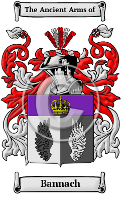 Bannach Family Crest/Coat of Arms