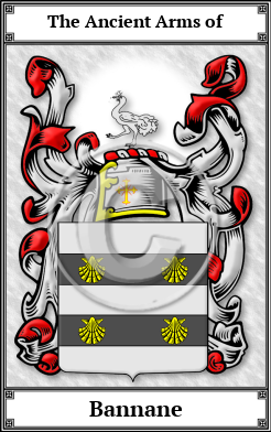 Bannane Family Crest Download (JPG) Book Plated - 600 DPI