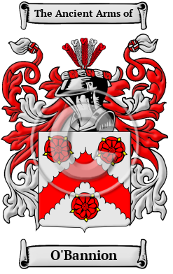 O'Bannion Family Crest/Coat of Arms