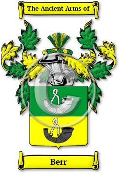 Berr Family Crest Download (JPG) Legacy Series - 600 DPI