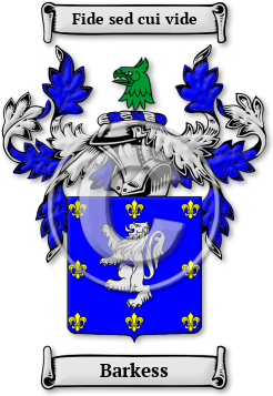 Barkess Family Crest Download (jpg) Legacy Series - 150 DPI