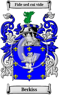 Berkiss Family Crest/Coat of Arms