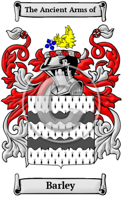 Barley Family Crest/Coat of Arms