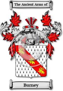 Burney Family Crest Download (JPG) Legacy Series - 600 DPI