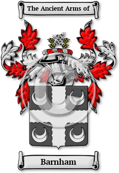Barnham Family Crest Download (jpg) Legacy Series - 150 DPI