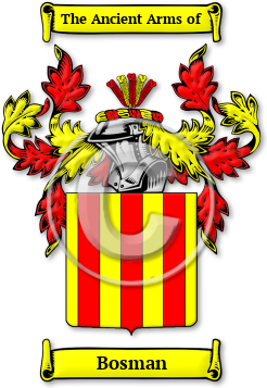 Bosman Family Crest Download (JPG) Legacy Series - 600 DPI