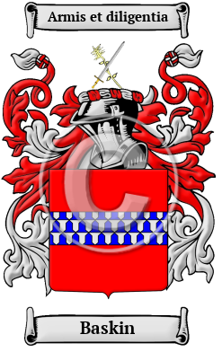 Baskin Family Crest/Coat of Arms